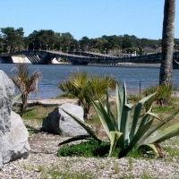 Foto de Punta del Esre