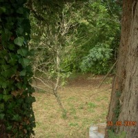 Foto de Figarines (Oviedo)