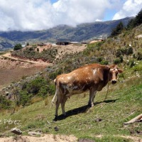 Foto de Cabimbú (Trujillo)