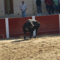 Foto de Peñafiel