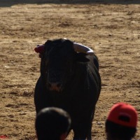 Foto de Peñafiel