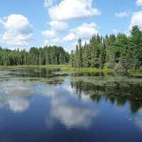 Foto de Algonquin
