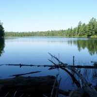 Foto de Algonquin