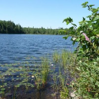 Foto de Algonquin