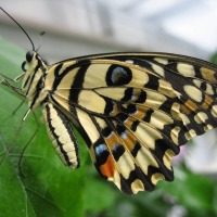 Foto de Grevenmacher