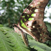 Foto de Grevenmacher