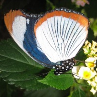 Foto de Grevenmacher