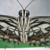 Foto de Grevenmacher