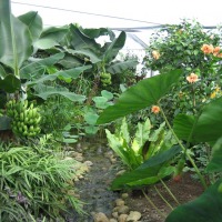 Foto de Grevenmacher