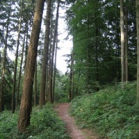 Foto de Bourglinster