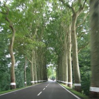Foto de Ansembourg