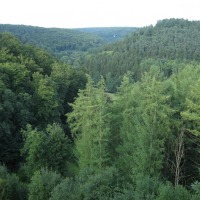 Foto de Hollenfels