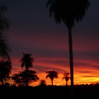 Foto de San José (Dto. de Caaguazu)