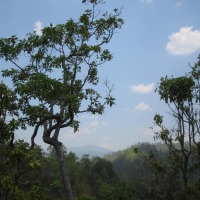 Foto de Chiang Mai