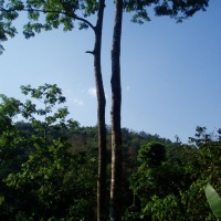 Foto de Chiang Mai