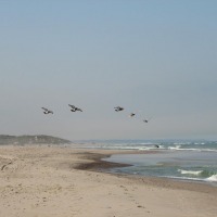Foto de Hirtshals