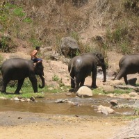 Foto de Chiang Mai