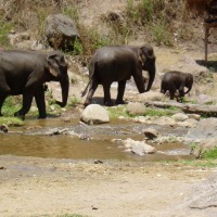 Foto de Chiang Mai