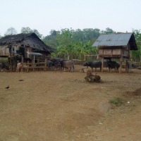 Foto de Chiang Mai