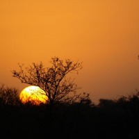 Foto de Limpopo