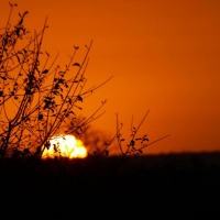 Foto de Limpopo