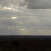 Foto de Limpopo