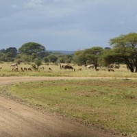 Foto de Limpopo
