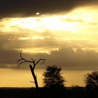 Foto de Limpopo