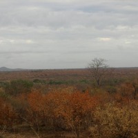 Foto de Limpopo