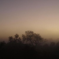Foto de Limpopo