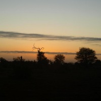 Foto de Limpopo