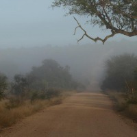 Foto de Limpopo