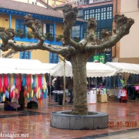 Foto de Oviedo