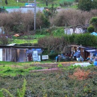 Foto de A Coruña