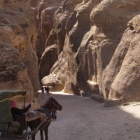 Foto de Petra