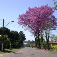 Foto de Luque (Dpto.Central)