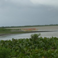 Foto de Delta Amacuro (Tucupita)