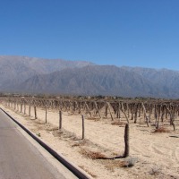Foto de Anillaco (La Rioja)