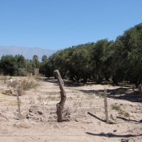 Foto de Aimogasta (La Rioja)