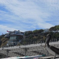 Foto de Valparaiso