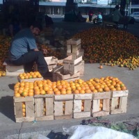 Foto de Puyo (Pastaza)