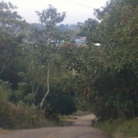 Foto de Loma del Río Arraiján