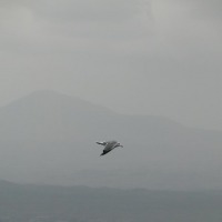 Foto de Gegharkunik