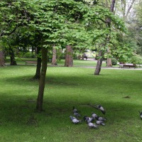 Foto de Oviedo