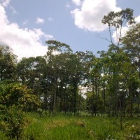 Foto de Palora
