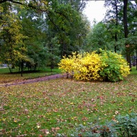 Foto de Pushkin