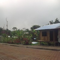 Foto de Simón Bolívar (Pastaza)