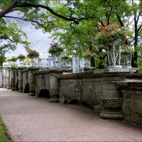 Foto de Pushkin
