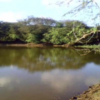 Foto: laguna de los conucos - Los Conucos