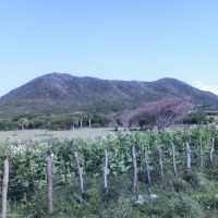 Foto: montaña de los conucos - Los Conucos